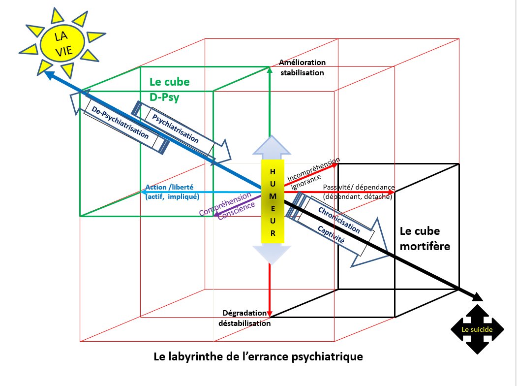 Schéma du labyrinthe de l'errance psychiatrique — Cube D-Psy vs Cube mortifère